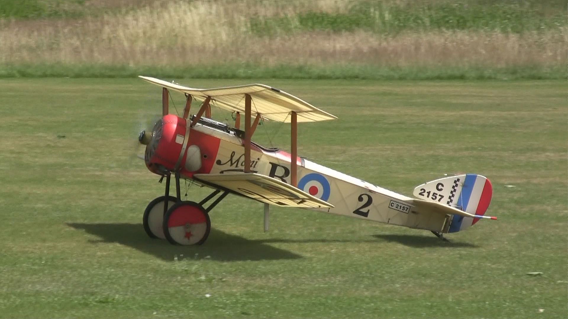 Sopwith Pup_Buchholz_00000