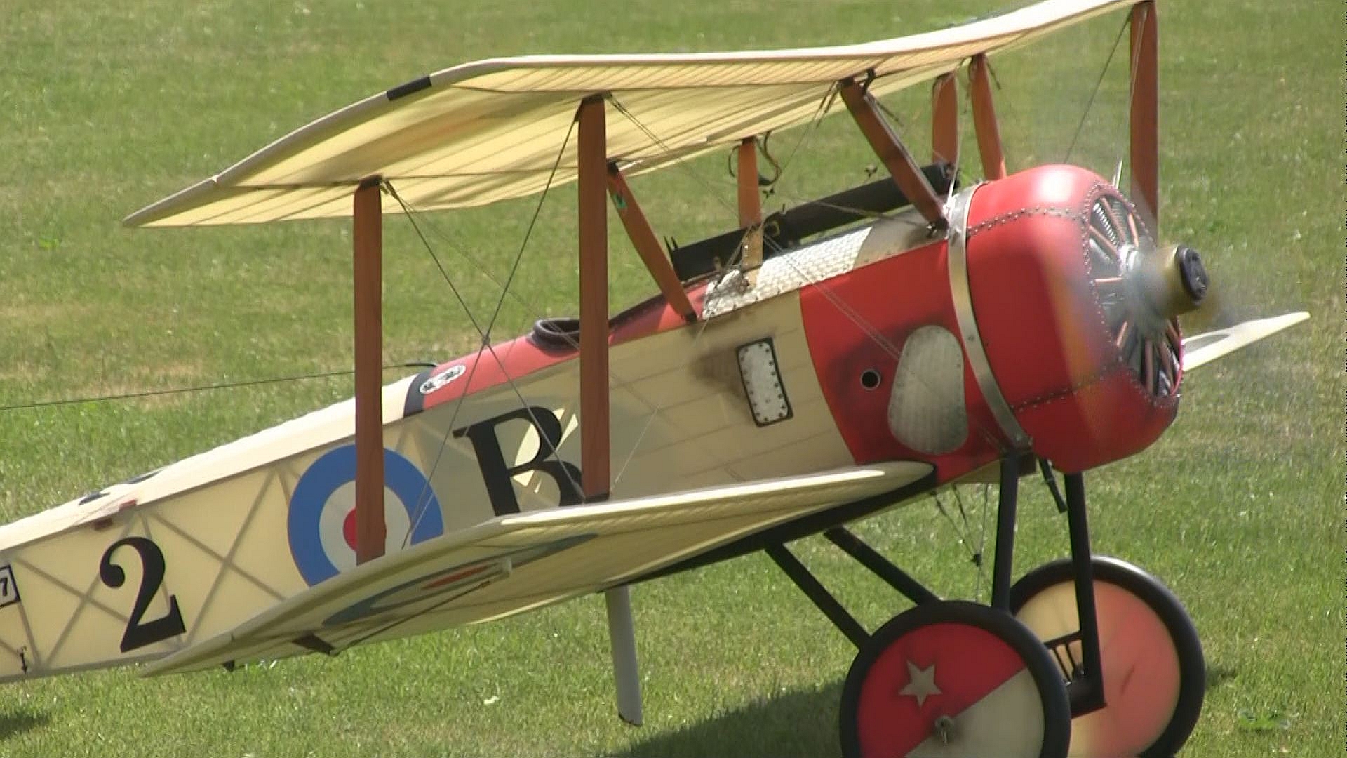 Sopwith Pup_Buchholz_00001