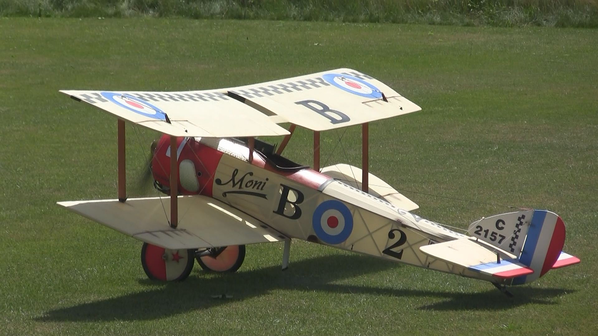 Sopwith Pup_Buchholz_00007