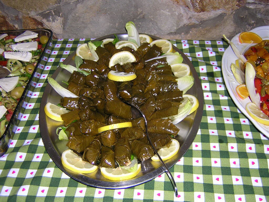 DSCN6094